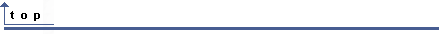 Top.gif (571 bytes)